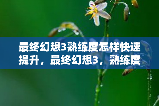 最终幻想3熟练度怎样快速提升,最终幻想3,熟练度的奥秘与角色成长之路 最终幻想3熟练度怎样快速提升,最终幻想3,熟练度的奥秘与角色成长之路