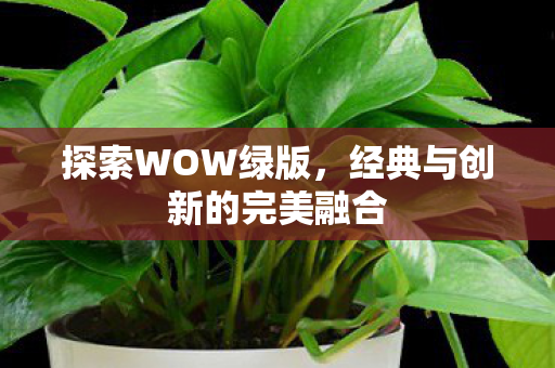 探索WOW绿版，经典与创新的完美融合