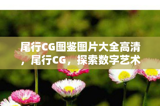 尾行CG图鉴图片大全高清，尾行CG，探索数字艺术的新边界