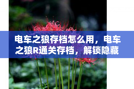 电车之狼存档怎么用，电车之狼R通关存档，解锁隐藏剧情与角色互动