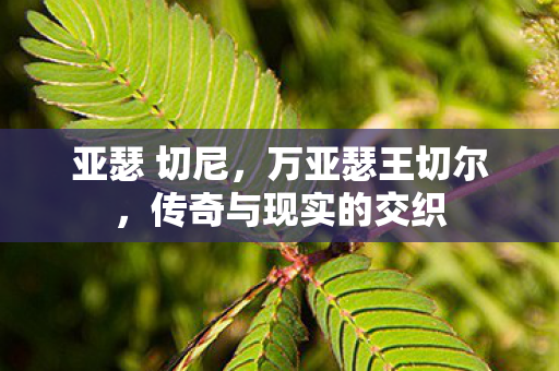 亚瑟 切尼，万亚瑟王切尔，传奇与现实的交织