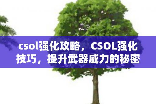 csol强化攻略，CSOL强化技巧，提升武器威力的秘密