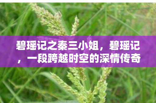 碧瑶记之秦三小姐，碧瑶记，一段跨越时空的深情传奇