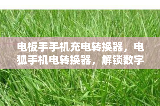 电板手手机充电转换器，电狐手机电转换器，解锁数字生活的便捷神器