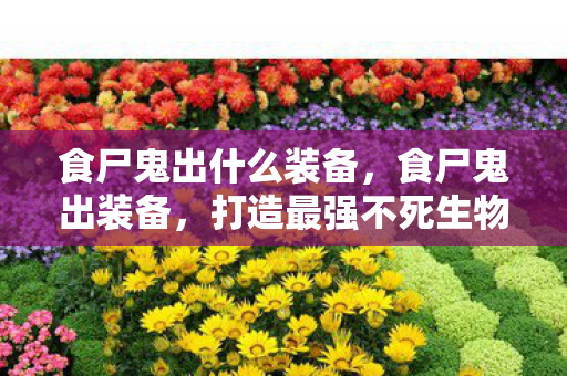 食尸鬼出什么装备，食尸鬼出装备，打造最强不死生物战力的指南