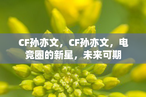 CF孙亦文,CF孙亦文,电竞圈的新星,未来可期 CF孙亦文,CF孙亦文,电竞圈的新星,未来可期