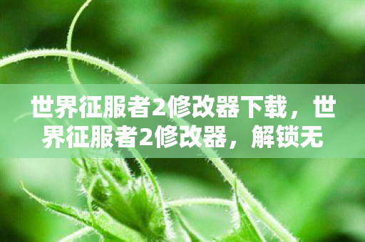 世界征服者2修改器下载,世界征服者2修改器,解锁无限可能的战争策略游戏 世界征服者2修改器下载,世界征服者2修改器,解锁无限可能的战争策略游戏