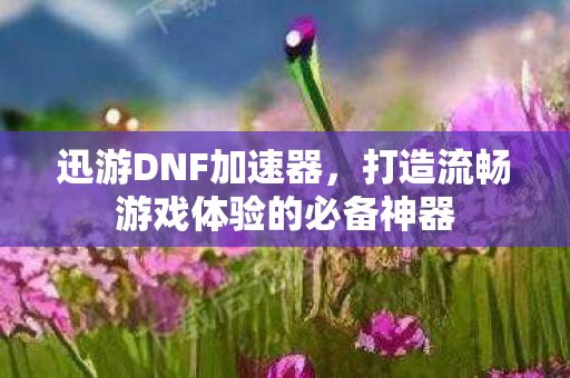 迅游DNF加速器,打造流畅游戏体验的必备神器 迅游DNF加速器,打造流畅游戏体验的必备神器