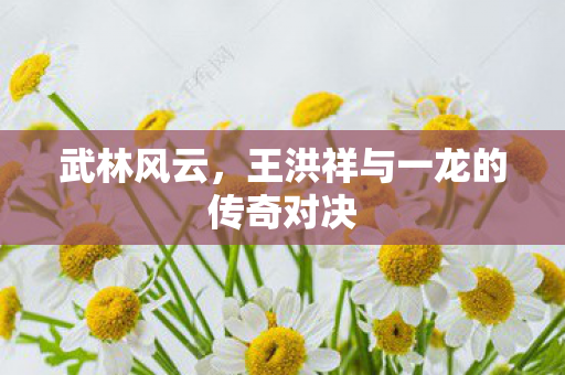 武林风云,王洪祥与一龙的传奇对决 武林风云,王洪祥与一龙的传奇对决