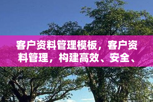 客户资料管理模板，客户资料管理，构建高效、安全、合规的客户关系