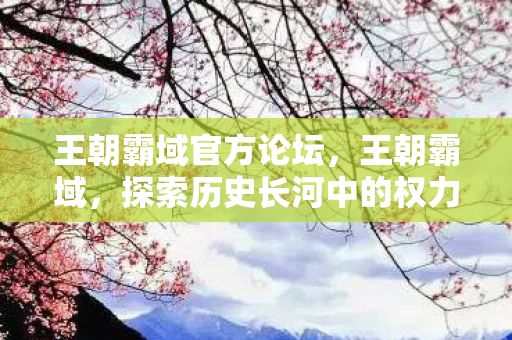 王朝霸域官方论坛，王朝霸域，探索历史长河中的权力更迭