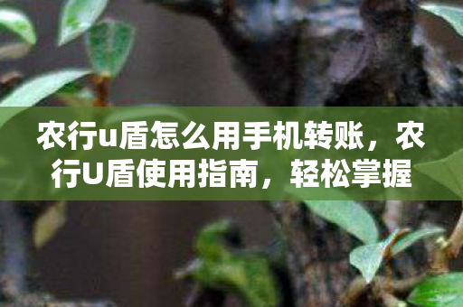 农行u盾怎么用手机转账，农行U盾使用指南，轻松掌握网银安全操作