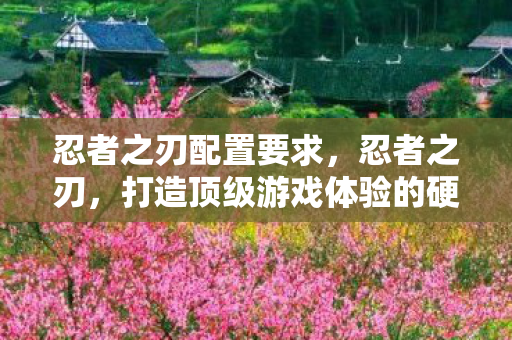 忍者之刃配置要求，忍者之刃，打造顶级游戏体验的硬件与软件配置指南