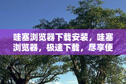 哇塞浏览器下载安装，哇塞浏览器，极速下载，尽享便捷