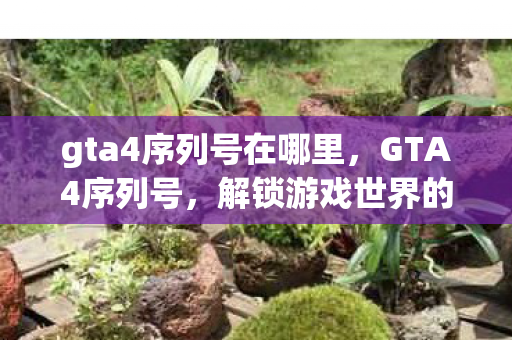 gta4序列号在哪里，GTA4序列号，解锁游戏世界的钥匙