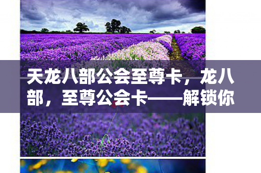 天龙八部公会至尊卡,龙八部,至尊公会卡——解锁你的游戏新境界 天龙八部公会至尊卡,龙八部,至尊公会卡——解锁你的游戏新境界