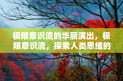 极限意识流的华丽演出，极限意识流，探索人类思维的边界