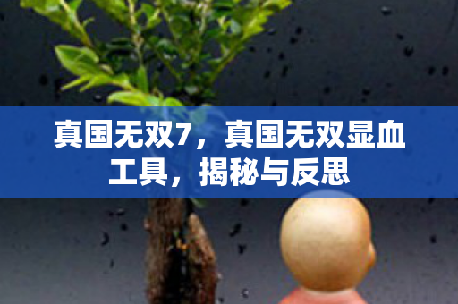 真国无双7，真国无双显血工具，揭秘与反思