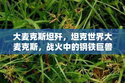 大麦克斯坦歼，坦克世界大麦克斯，战火中的钢铁巨兽