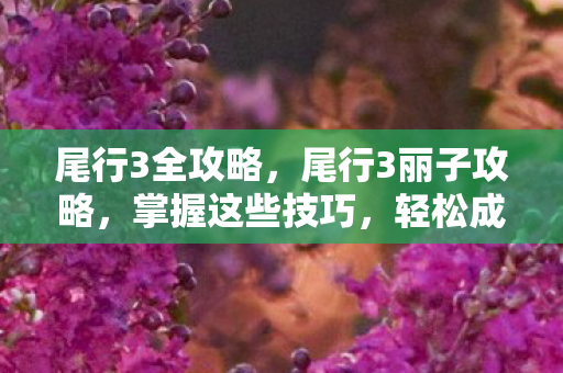 尾行3全攻略，尾行3丽子攻略，掌握这些技巧，轻松成为游戏高手