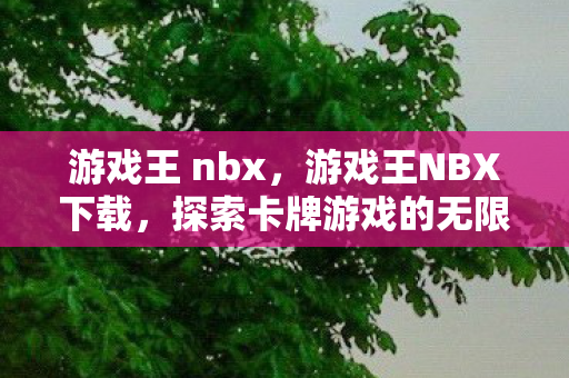 游戏王 nbx，游戏王NBX下载，探索卡牌游戏的无限可能