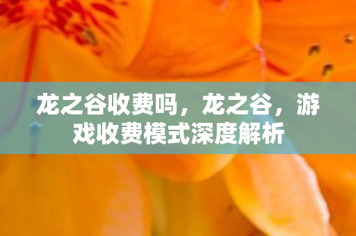 龙之谷收费吗，龙之谷，游戏收费模式深度解析