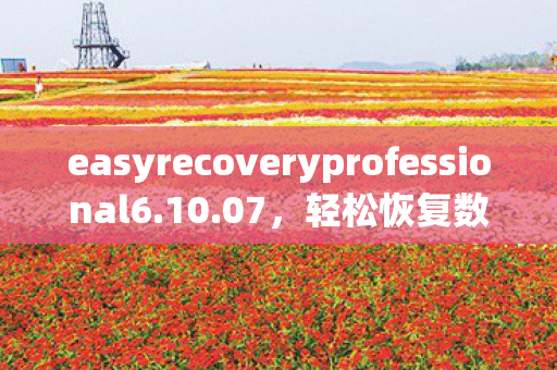 easyrecoveryprofessional6.10.07，轻松恢复数据，EasyRecovery Pro 6.0 中文版详解