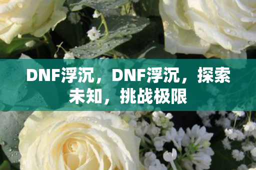 DNF浮沉,DNF浮沉,探索未知,挑战极限 DNF浮沉,DNF浮沉,探索未知,挑战极限