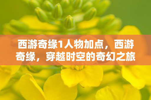 西游奇缘1人物加点，西游奇缘，穿越时空的奇幻之旅
