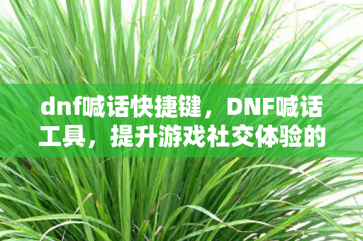 dnf喊话快捷键，DNF喊话工具，提升游戏社交体验的神器