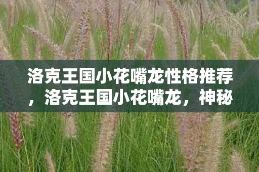 洛克王国小花嘴龙性格推荐,洛克王国小花嘴龙,神秘生物的探索之旅 洛克王国小花嘴龙性格推荐,洛克王国小花嘴龙,神秘生物的探索之旅