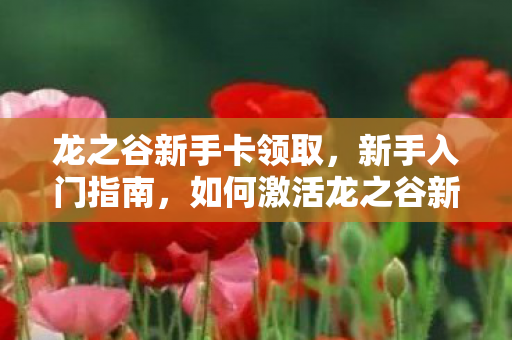 龙之谷新手卡领取，新手入门指南，如何激活龙之谷新手卡