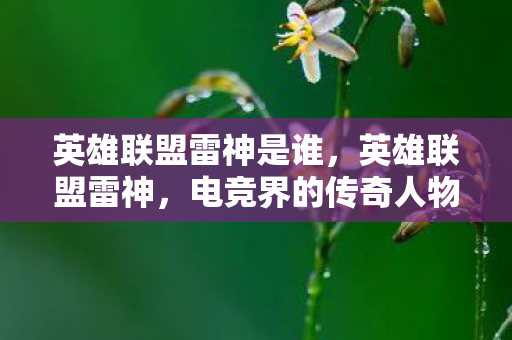 英雄联盟雷神是谁，英雄联盟雷神，电竞界的传奇人物