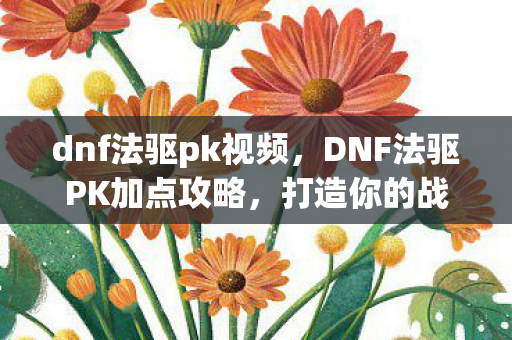 dnf法驱pk视频，DNF法驱PK加点攻略，打造你的战斗法师
