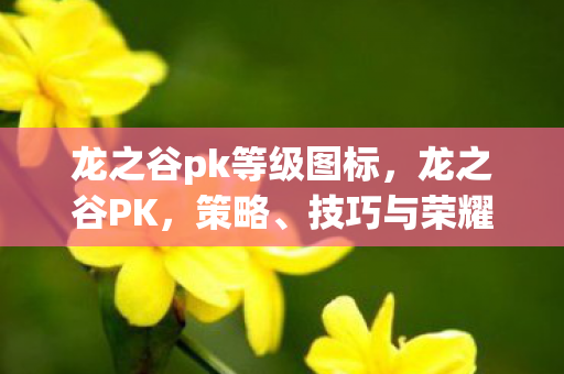 龙之谷pk等级图标，龙之谷PK，策略、技巧与荣耀之战