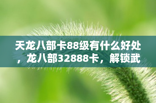 天龙八部卡88级有什么好处，龙八部32888卡，解锁武侠世界的神秘钥匙