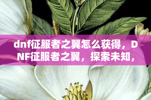 dnf征服者之翼怎么获得，DNF征服者之翼，探索未知，挑战极限