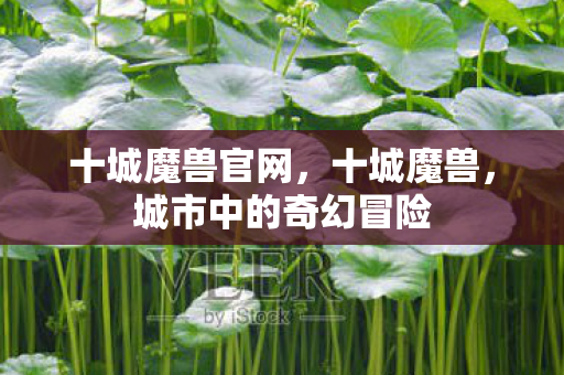 十城魔兽官网，十城魔兽，城市中的奇幻冒险