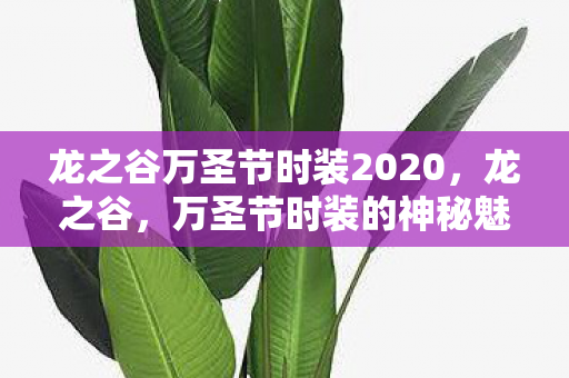 龙之谷万圣节时装2020，龙之谷，万圣节时装的神秘魅力