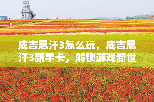 成吉思汗3怎么玩，成吉思汗3新手卡，解锁游戏新世界的钥匙