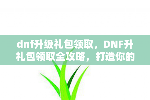 dnf升级礼包领取，DNF升礼包领取全攻略，打造你的最强角色！