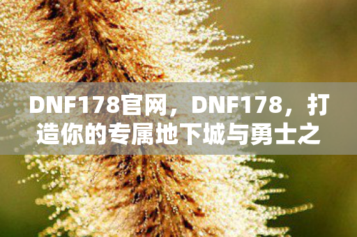 DNF178官网,DNF178,打造你的专属地下城与勇士之旅 DNF178官网,DNF178,打造你的专属地下城与勇士之旅