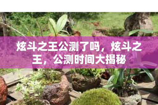 炫斗之王公测了吗，炫斗之王，公测时间大揭秘