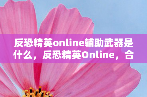 反恐精英online辅助武器是什么，反恐精英Online，合法辅助工具的重要性与选择