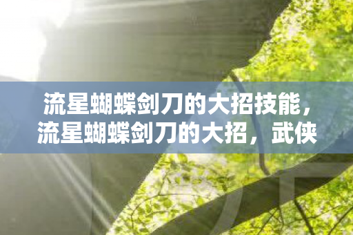 流星蝴蝶剑刀的大招技能,流星蝴蝶剑刀的大招,武侠世界中的极致美学 流星蝴蝶剑刀的大招技能,流星蝴蝶剑刀的大招,武侠世界中的极致美学
