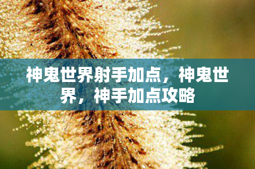 神鬼世界射手加点,神鬼世界,神手加点攻略 神鬼世界射手加点,神鬼世界,神手加点攻略