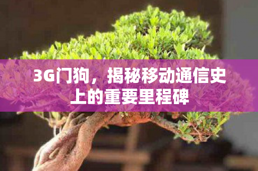 3G门狗，揭秘移动通信史上的重要里程碑