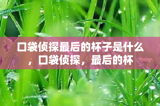 口袋侦探最后的杯子是什么，口袋侦探，最后的杯