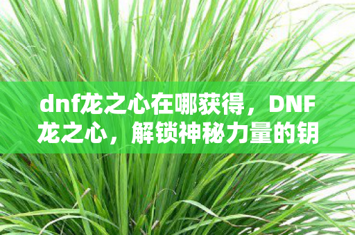 dnf龙之心在哪获得,DNF龙之心,解锁神秘力量的钥匙 dnf龙之心在哪获得,DNF龙之心,解锁神秘力量的钥匙