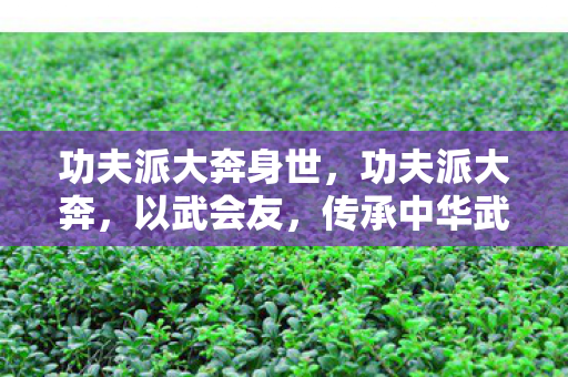 功夫派大奔身世，功夫派大奔，以武会友，传承中华武术精神